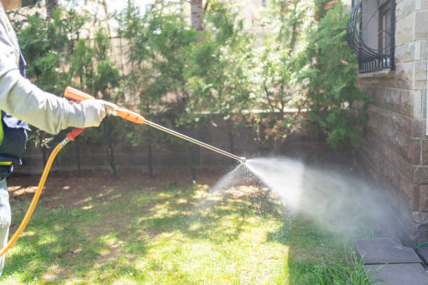 Trusted Redwood Falls, MN Pest Control Experts